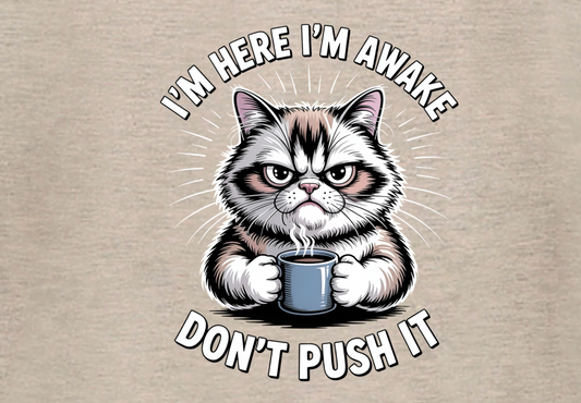 I'M HERE I'M AWAKE DON'T PUSH IT