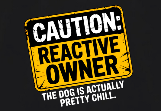 CAUTION REACTIVE OWNER: THE DOG IS ACTUALLY CHILL