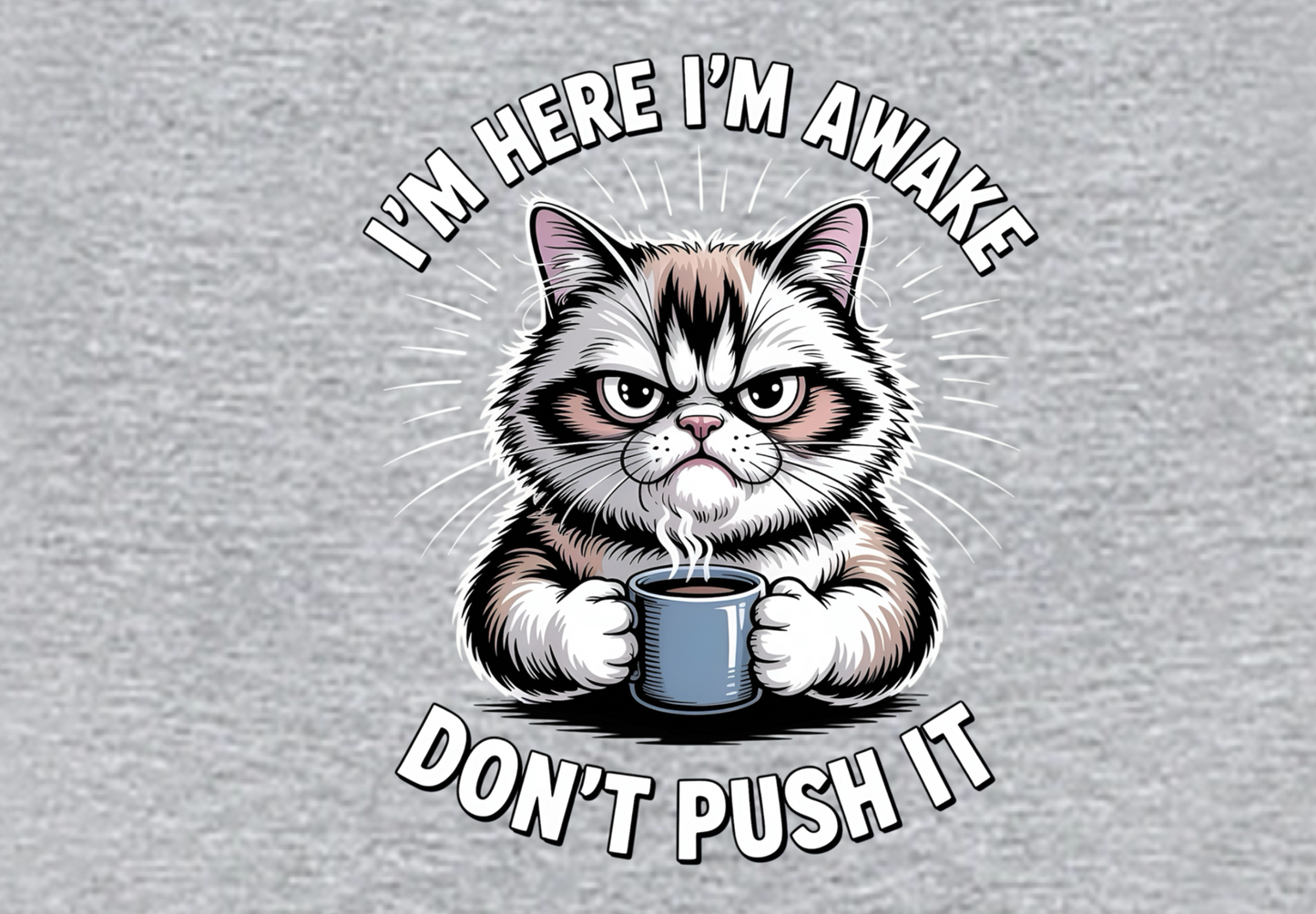 I'M HERE I'M AWAKE DON'T PUSH IT