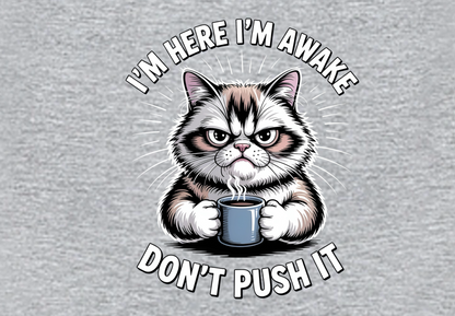 I'M HERE I'M AWAKE DON'T PUSH IT