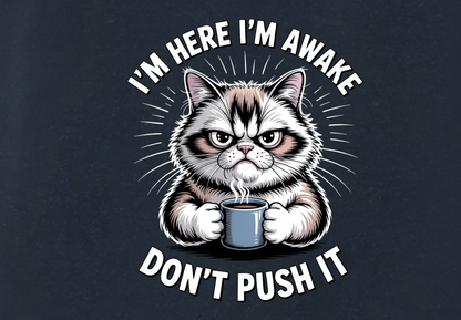 I'M HERE I'M AWAKE DON'T PUSH IT