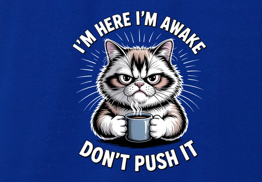 I'M HERE I'M AWAKE DON'T PUSH IT