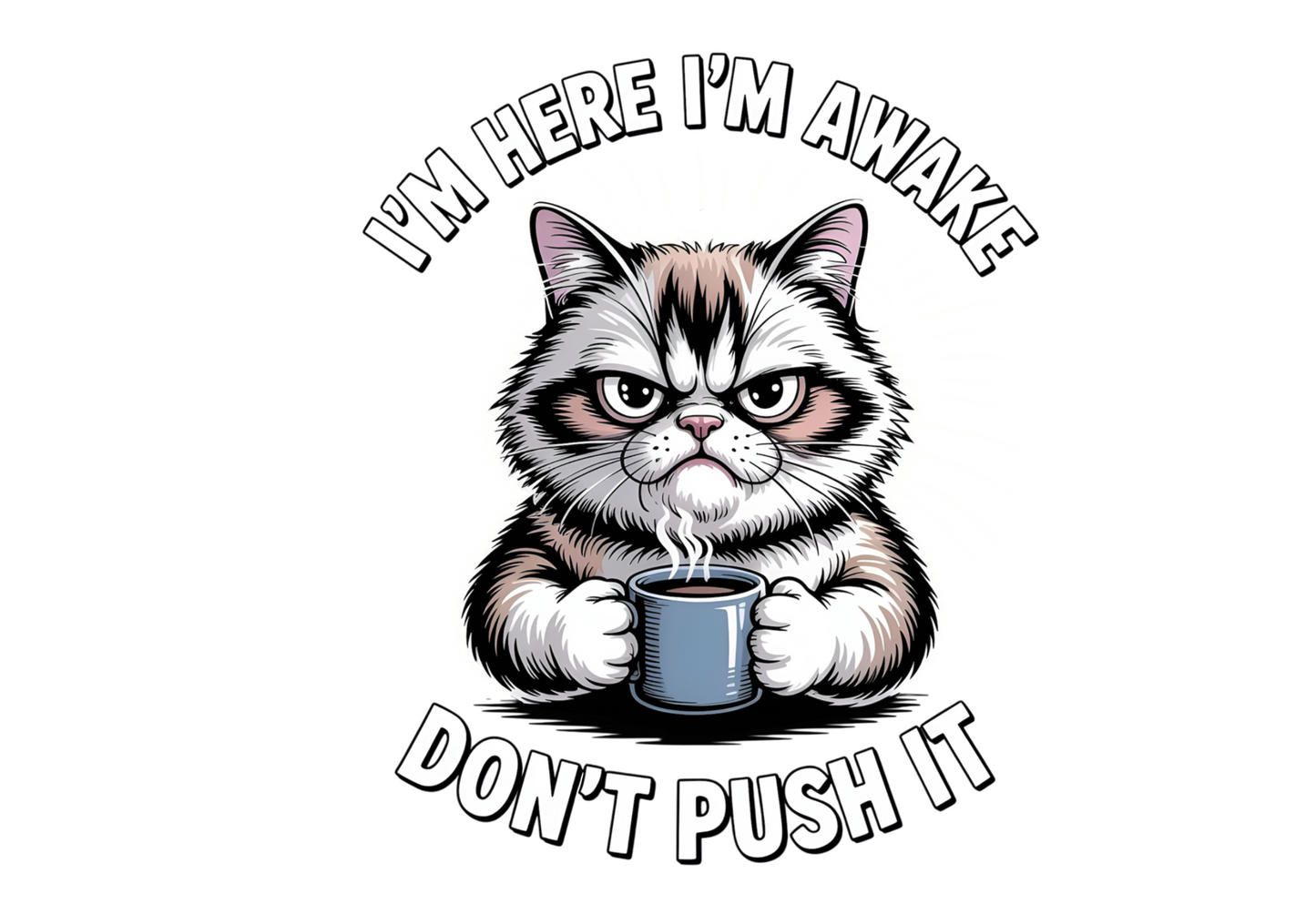 I'M HERE I'M AWAKE DON'T PUSH IT